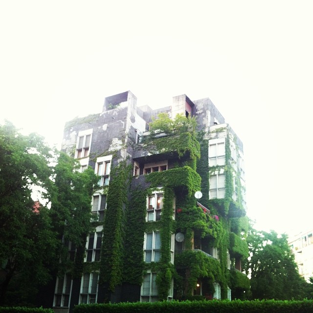 palazzo vicino al parco della Martesana - http://instagram.com/ale9ssandra/